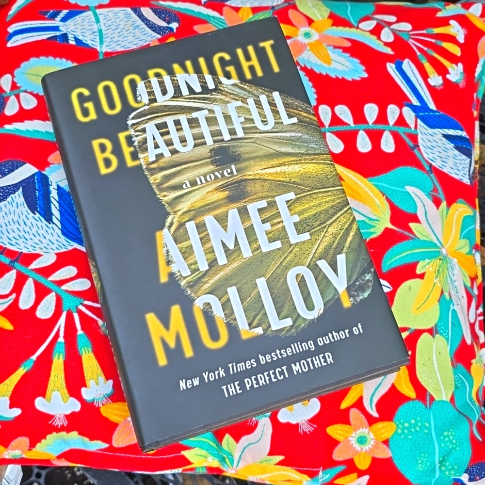 Goodnight Beautiful 1st edition 2020 Mystery Thriller Aimee Molloy Book